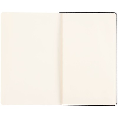 Записная книжка Moleskine Professional Large, черная