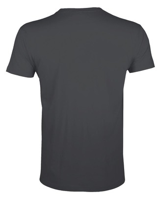 Футболка мужская Regent Fit 150, темно-серая