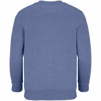 Свитшот детский Columbia Kids, синий