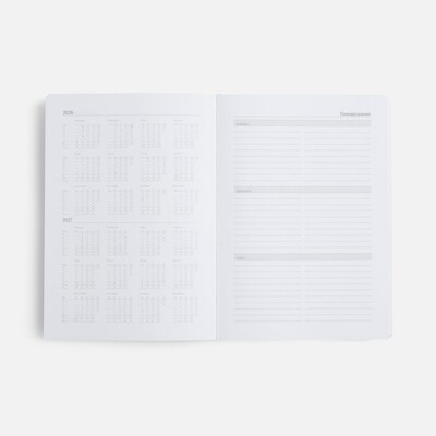 Ежедневник Basis, датированный, оранжевый