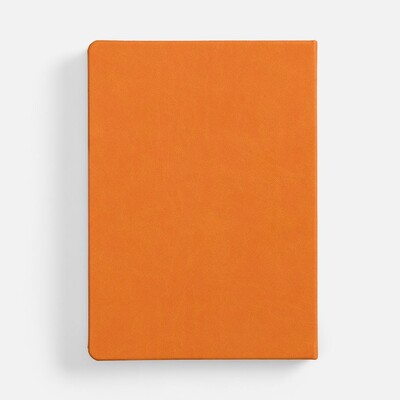 Ежедневник Basis, датированный, оранжевый