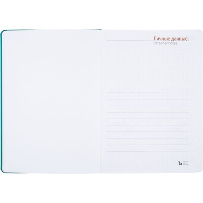Ежедневник Basis, датированный, бирюзовый