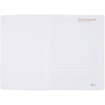 Ежедневник Basis, датированный, красный