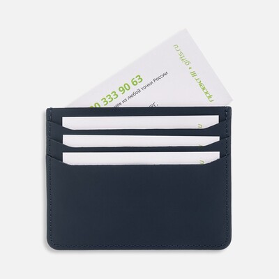 Чехол для карт Alaska, синий