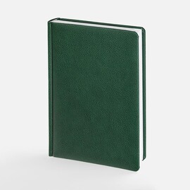 Ежедневник Sagrin, недатированный, зеленый