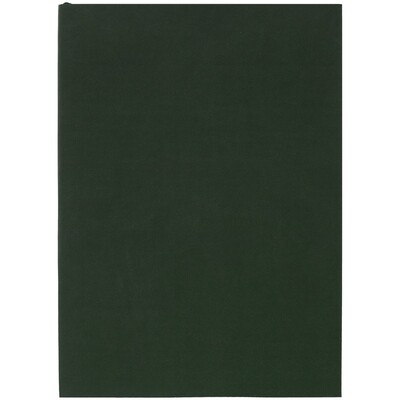 Ежедневник Flat Light, недатированный, зеленый