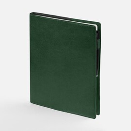 Ежедневник в суперобложке Brave Book, недатированный, зеленый