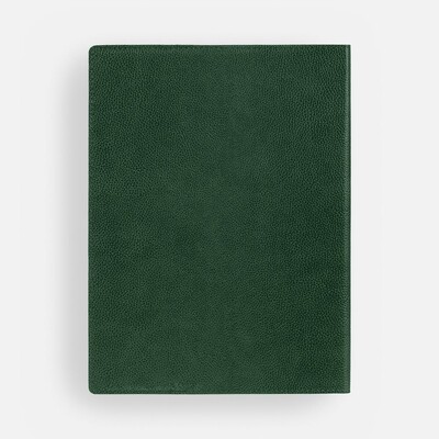 Ежедневник в суперобложке Brave Book, недатированный, зеленый