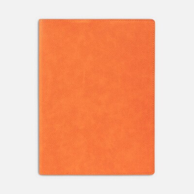 Ежедневник в суперобложке Brave Book, недатированный, оранжевый