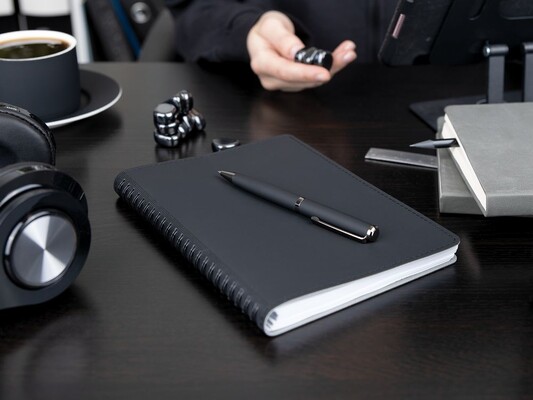 Ручка шариковая Inkish Gunmetal, белая