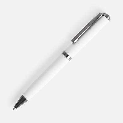 Ручка шариковая Inkish Gunmetal в футляре, белая