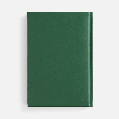 Ежедневник Baza, датированный, зеленый