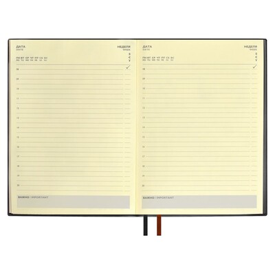 Ежедневник Avila, недатированный, черный