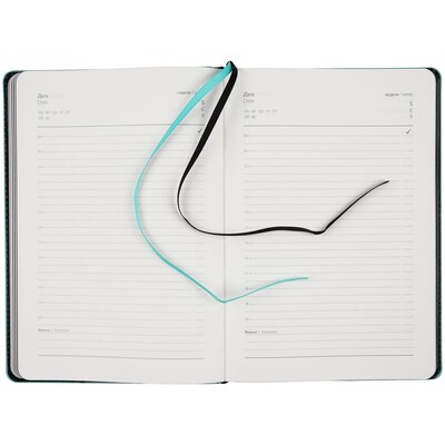 Ежедневник Alanis, недатированный, черный с голубым