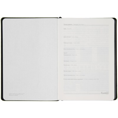 Ежедневник Alanis, недатированный, черный с зеленым