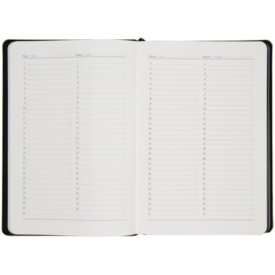 Ежедневник Alanis, недатированный, черный с зеленым