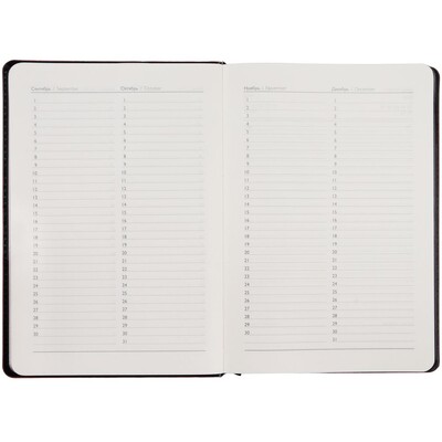 Ежедневник Alanis, недатированный, черный с красным