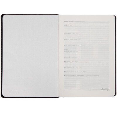 Ежедневник Alanis, недатированный, черный с красным