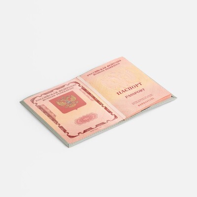 Обложка для паспорта Shall, ver. 2, серая