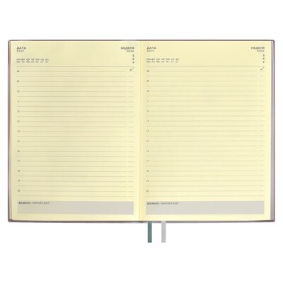 Ежедневник Avila, недатированный, серый