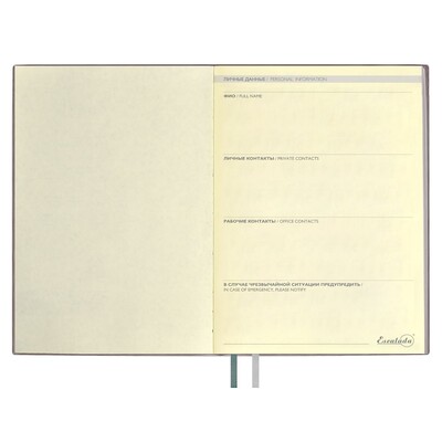 Ежедневник Avila, недатированный, серый