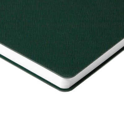 Ежедневник Flexpen Bright, недатированный, зеленый