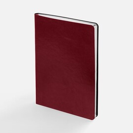 Ежедневник Nebraska Flex, недатированный, бордовый с серебристым