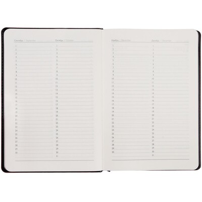 Ежедневник Alanis, недатированный, черный с синим