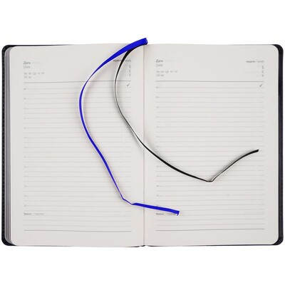 Ежедневник Alanis, недатированный, черный с синим