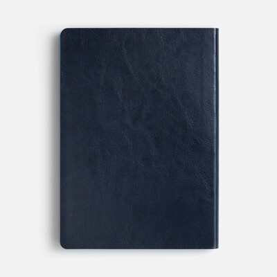 Ежедневник Doppio, недатированный, синий с голубым