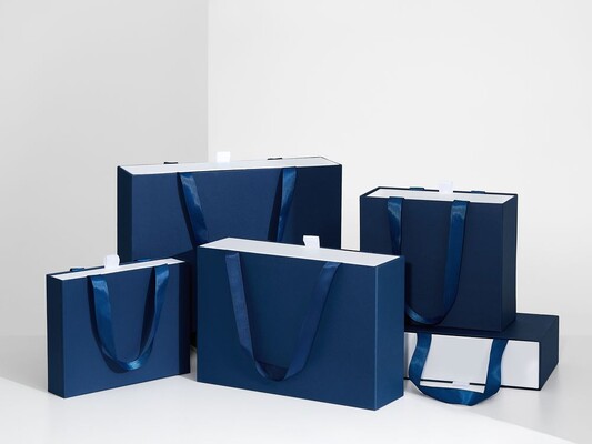 Коробка Regalis, L, черная